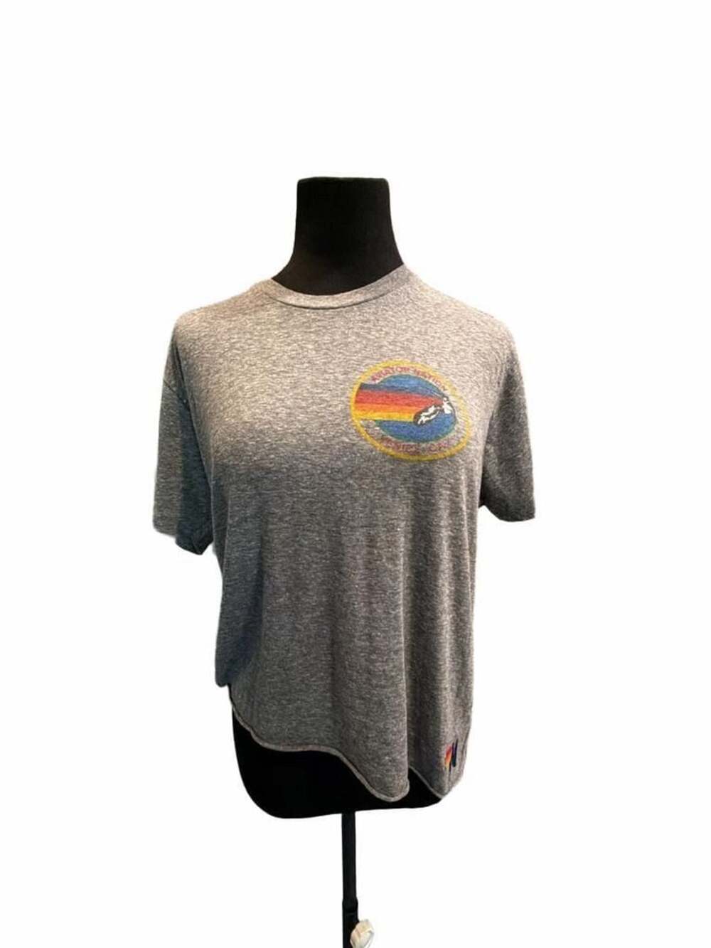 774 Aviator Nation Small Venice Circle Tee Size L Gray